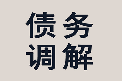 股东个人债务是否波及公司利益？